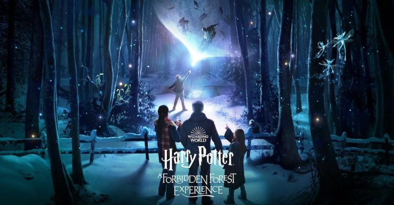🌲 Harry Potter Forbidden Forest Experience en Santiago: vive la magia en el bosque prohibido 1